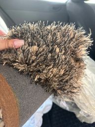 https://img.olx.com.br/thumbs256x256/60/606502645799231.jpg