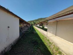 https://img.olx.com.br/thumbs256x256/60/606549400404967.jpg