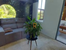 https://img.olx.com.br/thumbs256x256/60/607504645711302.jpg