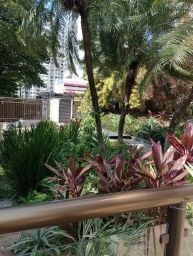 https://img.olx.com.br/thumbs256x256/60/607679685534770.jpg