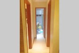 https://img.olx.com.br/thumbs256x256/60/608510165073327.jpg