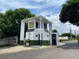 https://img.olx.com.br/thumbs256x256/60/608524645336752.jpg