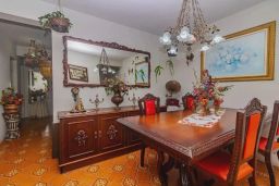 https://img.olx.com.br/thumbs256x256/60/608559634908512.jpg