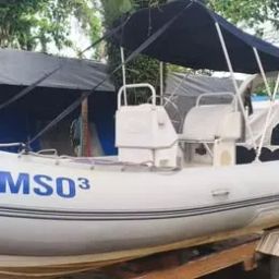 https://img.olx.com.br/thumbs256x256/60/608643749254973.jpg