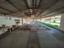 https://img.olx.com.br/thumbs256x256/60/609528528463508.jpg
