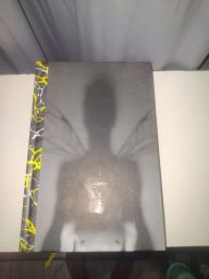 https://img.olx.com.br/thumbs256x256/61/610561385731412.jpg