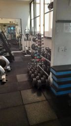 https://img.olx.com.br/thumbs256x256/61/611597648335049.jpg