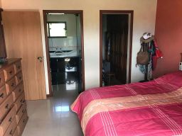 https://img.olx.com.br/thumbs256x256/61/612568878752410.jpg