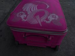 https://img.olx.com.br/thumbs256x256/61/612644444078828.jpg