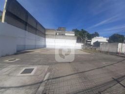 https://img.olx.com.br/thumbs256x256/61/613557640109587.jpg