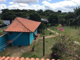 https://img.olx.com.br/thumbs256x256/61/613572515439037.jpg