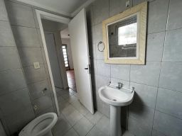 https://img.olx.com.br/thumbs256x256/61/613671903116428.jpg