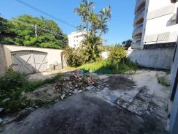 https://img.olx.com.br/thumbs256x256/61/614569756307541.jpg