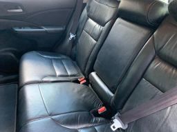 https://img.olx.com.br/thumbs256x256/61/614571767661816.jpg