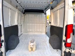 https://img.olx.com.br/thumbs256x256/61/614645063180426.jpg