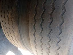 https://img.olx.com.br/thumbs256x256/61/614673773023255.jpg