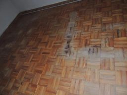https://img.olx.com.br/thumbs256x256/61/615505512306615.jpg