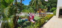 https://img.olx.com.br/thumbs256x256/61/615542646086113.jpg
