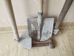 https://img.olx.com.br/thumbs256x256/61/615553644231366.jpg