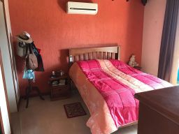 https://img.olx.com.br/thumbs256x256/61/618590754571774.jpg