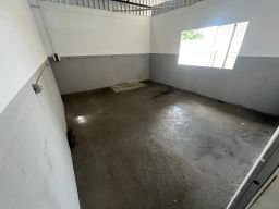 https://img.olx.com.br/thumbs256x256/61/619558270435119.jpg