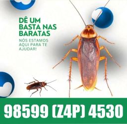 https://img.olx.com.br/thumbs256x256/62/620425959356465.jpg