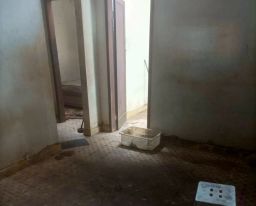 https://img.olx.com.br/thumbs256x256/62/620514165486970.jpg