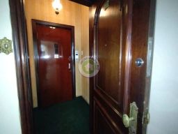 https://img.olx.com.br/thumbs256x256/62/620537285987048.jpg