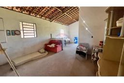 https://img.olx.com.br/thumbs256x256/62/620556886463012.jpg