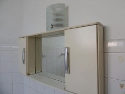 https://img.olx.com.br/thumbs256x256/62/620563513254428.jpg