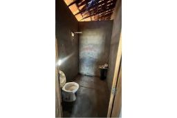 https://img.olx.com.br/thumbs256x256/62/620565403677222.jpg