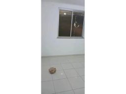 https://img.olx.com.br/thumbs256x256/62/620565751671693.jpg