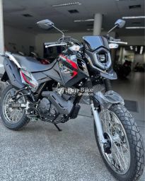 https://img.olx.com.br/thumbs256x256/62/621402101668671.jpg