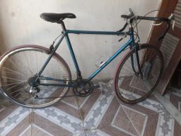 https://img.olx.com.br/thumbs256x256/62/621426447309151.jpg