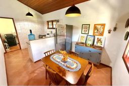 https://img.olx.com.br/thumbs256x256/62/621506762389341.jpg