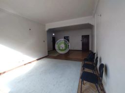 https://img.olx.com.br/thumbs256x256/62/621584642504961.jpg