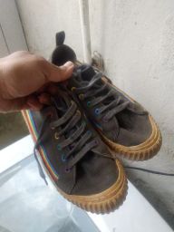 https://img.olx.com.br/thumbs256x256/62/622450239430586.jpg