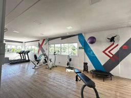 https://img.olx.com.br/thumbs256x256/62/622539760218245.jpg