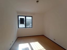 https://img.olx.com.br/thumbs256x256/62/622541641320883.jpg