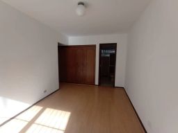 https://img.olx.com.br/thumbs256x256/62/622543649209374.jpg