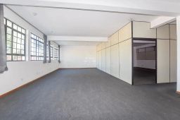 https://img.olx.com.br/thumbs256x256/62/622590648850931.jpg