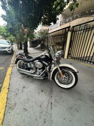 https://img.olx.com.br/thumbs256x256/62/622642084747116.jpg
