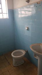 https://img.olx.com.br/thumbs256x256/62/623681888793448.jpg
