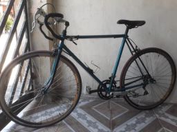 https://img.olx.com.br/thumbs256x256/62/624488204218757.jpg