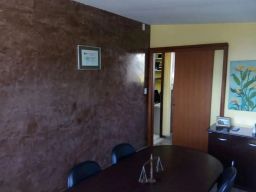 https://img.olx.com.br/thumbs256x256/62/624514408449664.jpg