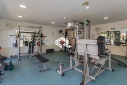 https://img.olx.com.br/thumbs256x256/62/624514645898687.jpg