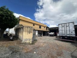 https://img.olx.com.br/thumbs256x256/62/624515763393354.jpg