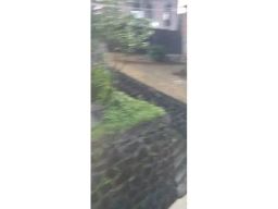 https://img.olx.com.br/thumbs256x256/62/624523630075888.jpg