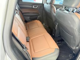 https://img.olx.com.br/thumbs256x256/62/624626193820801.jpg