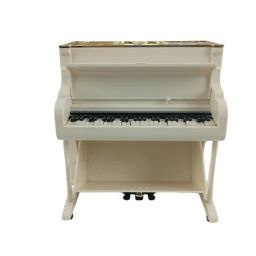 https://img.olx.com.br/thumbs256x256/62/624637184803938.jpg
